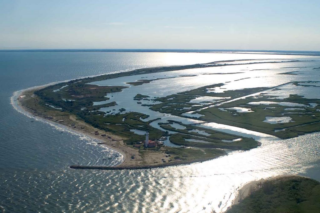 Giornata della cooperazione: sabato 2 luglio festeggiamo a Goro, nel Parco del Delta del Po Giornata della cooperazione: sabato 2 luglio festeggiamo a Goro, nel Parco del Delta del Po