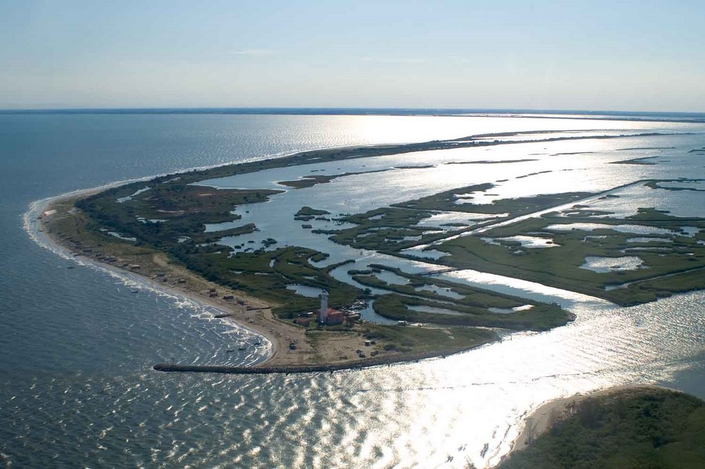 Giornata della cooperazione: sabato 2 luglio festeggiamo a Goro, nel Parco del Delta del Po