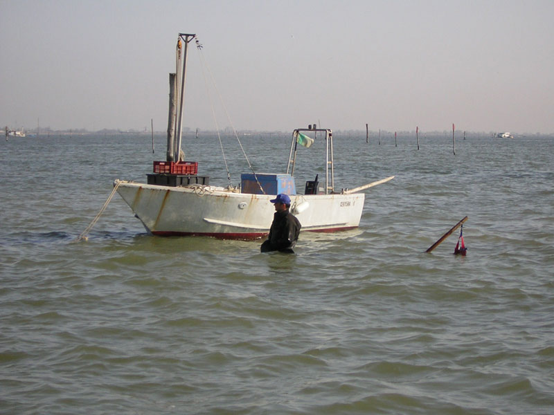 Comitato di Settore delle cooperative agroalimentari e della pesca di Legacoop Estense, il 26 luglio a Goro