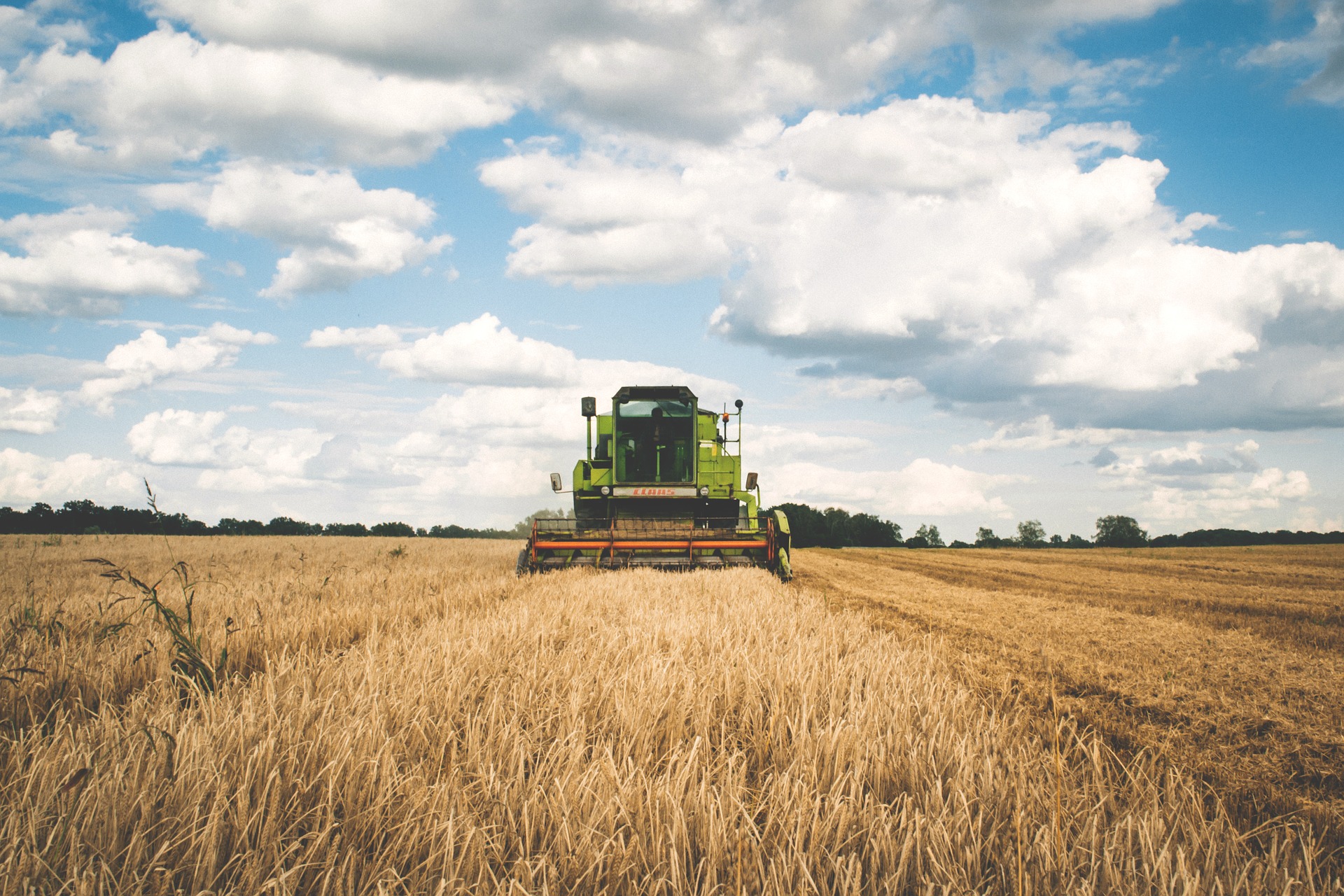 L’Alleanza delle Cooperative Agroalimentari e Federalimentare scrivono al Presidente del Consiglio Mario Draghi