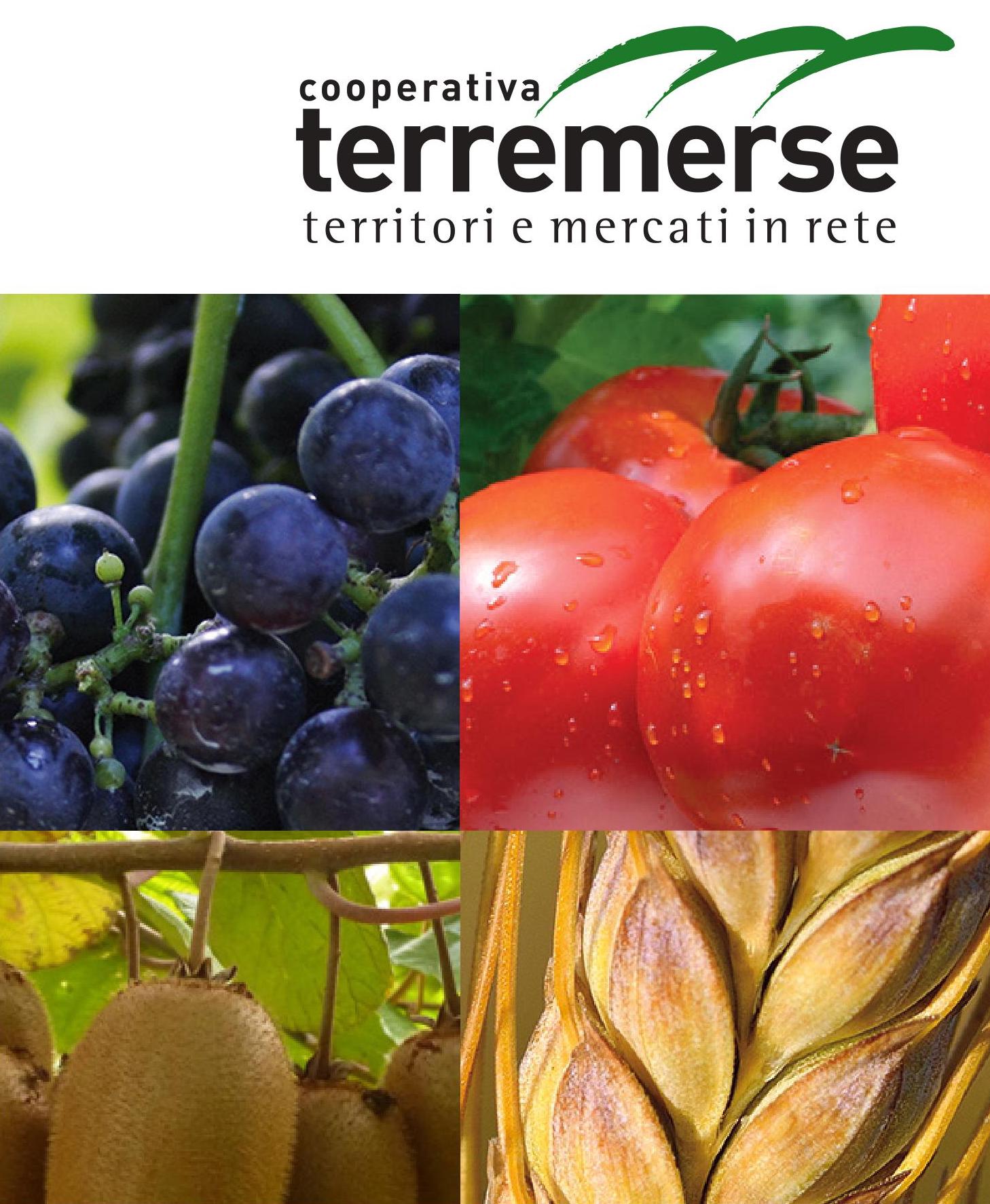 Cooperativa Terremerse: incontri tecnici a febbraio e Agronomica 3.0 per un’agricoltura Benefacta