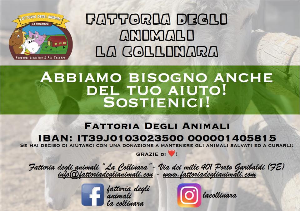 La Fattoria la Collinara lancia un appello per aiutare gli animali: servono cibo e cure