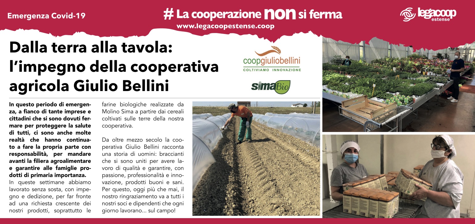 #lacooperazionenonsiferma: la campagna di Legacoop Estense prosegue su Il Resto di Carlino di Ferrara, per ringraziare le cooperative associate