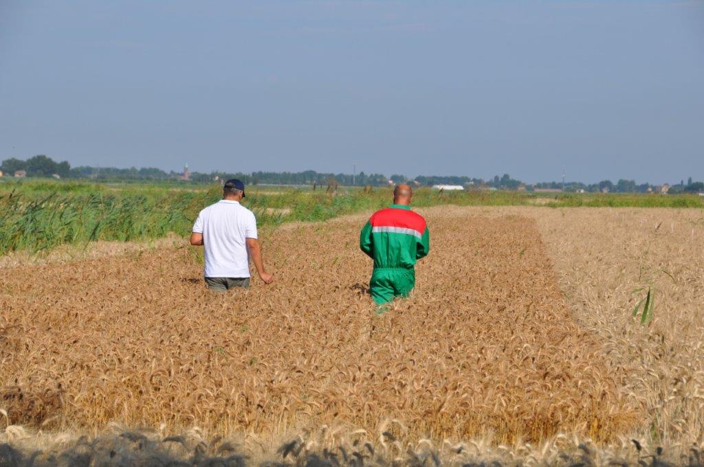 Tempo di bilanci per Terremerse. Risultato 2019 e andamento del primo quadrimestre 2020