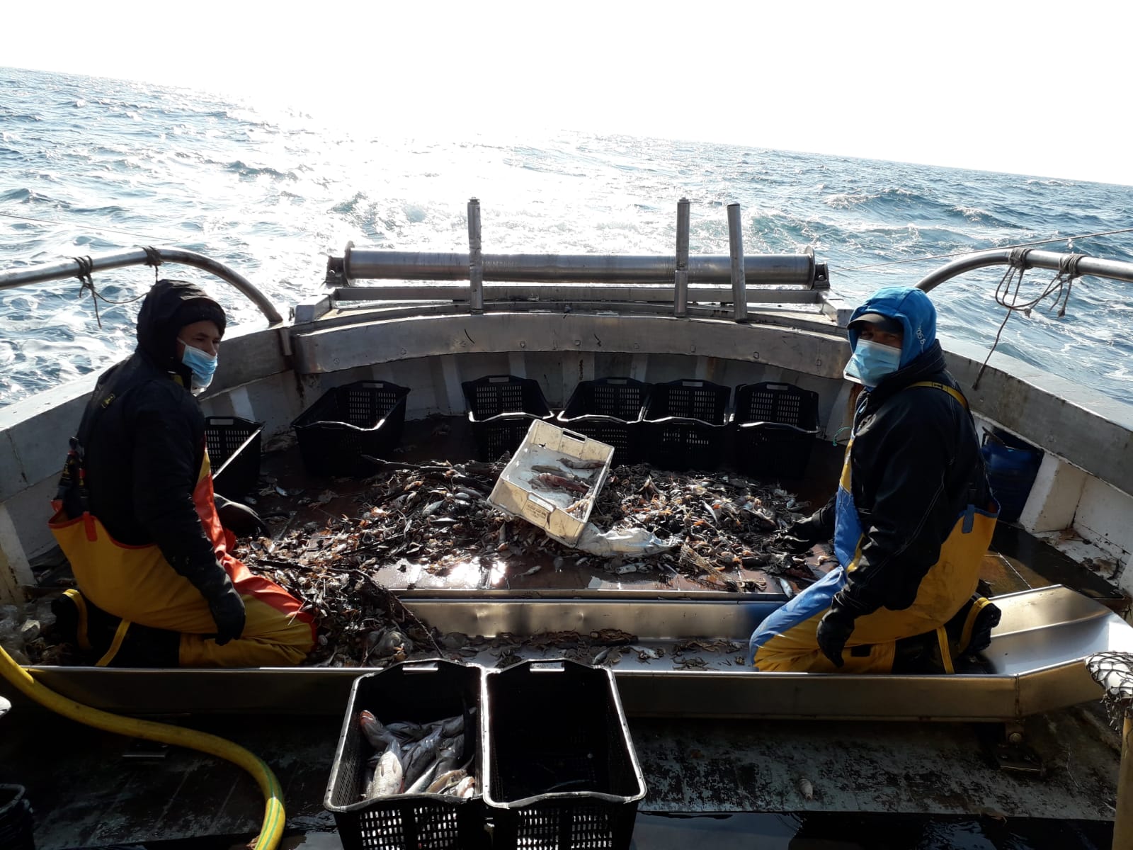 DL Ristori bis: l’Alleanza delle Cooperative Pesca chiede misure adeguate