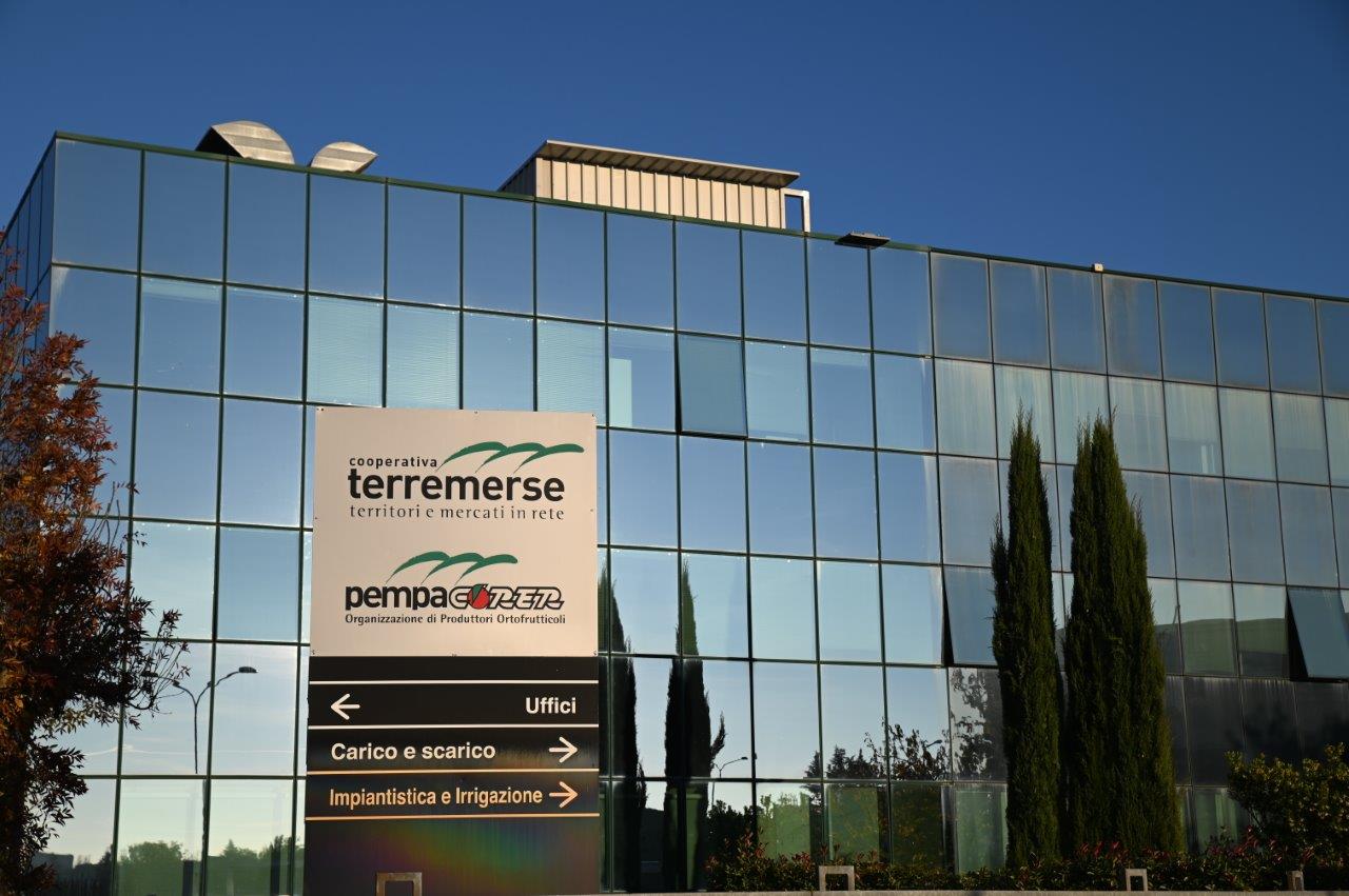 Terremerse è diventata O.P. per l’ortofrutta Terremerse è diventata O.P. per l’ortofrutta