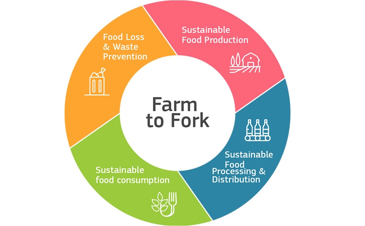 I 9 paradossi della Farm to Fork: lanciato in contemporanea in 7 paesi europei un video appello che illustra i paradossi della Farm to Fork che ostacolano la transizione verde I 9 paradossi della Farm to Fork: lanciato in contemporanea in 7 paesi europei un video appello che illustra i paradossi della Farm to Fork che ostacolano la transizione verde
