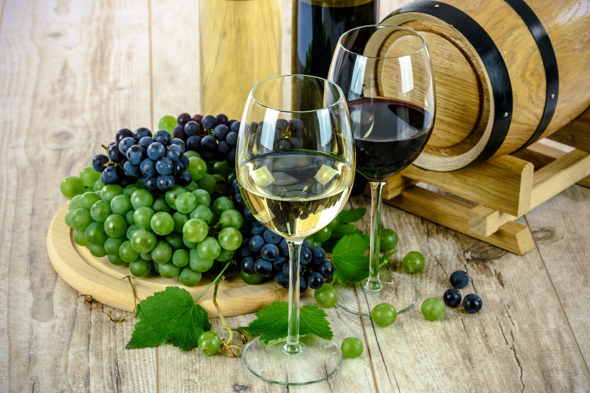 Cancer plan, la filiera vitivinicola italiana: importante aver distinto tra uso e abuso di alcol. Ora lavoriamo insieme per sconfiggere il cancro