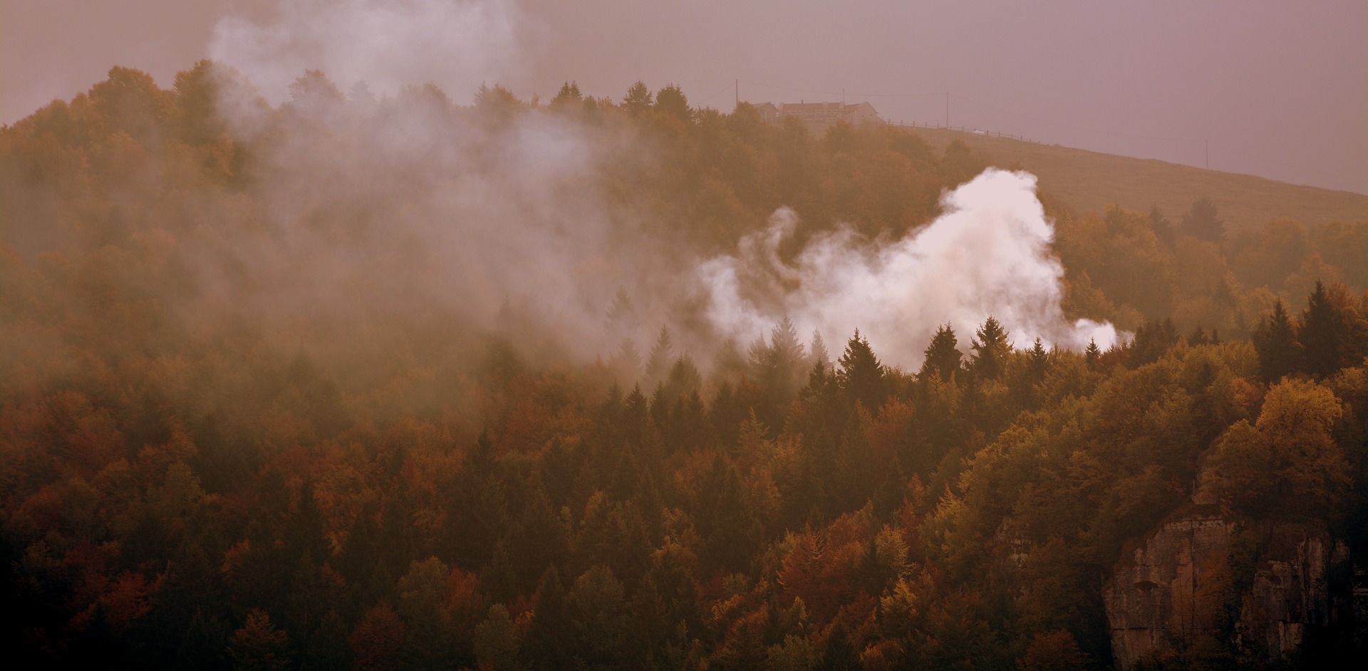 Incendi boschivi, dal 26 marzo in Emilia-Romagna scatta lo stato di grave pericolosità