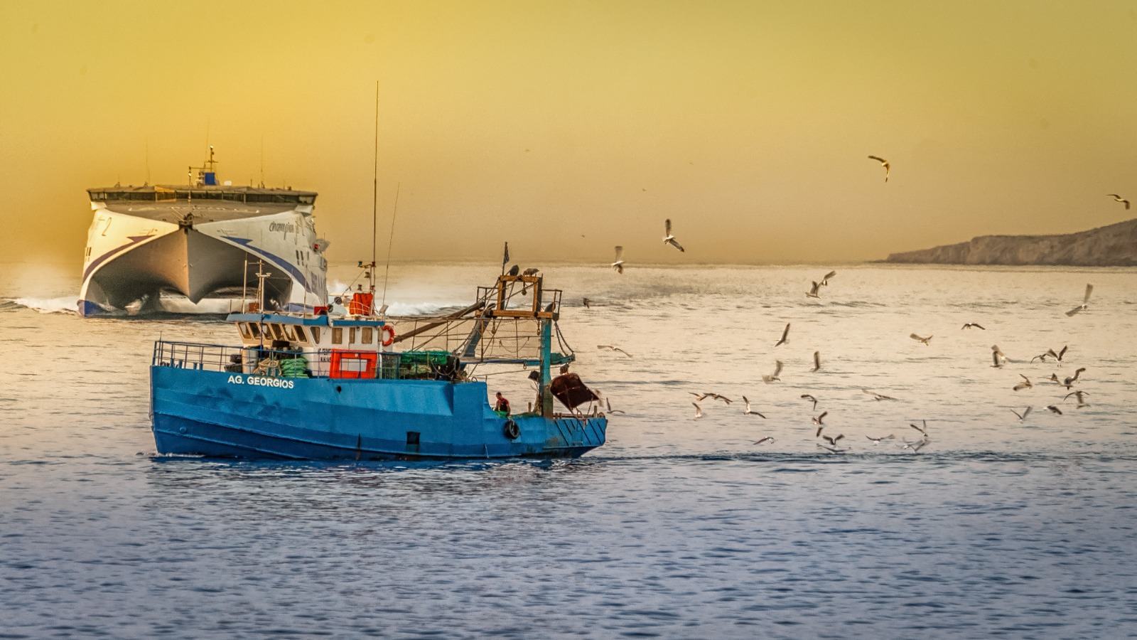 Pesca a strascico: Alleanza delle Cooperative lancia l’allarme all’Europa per cambiare rotta