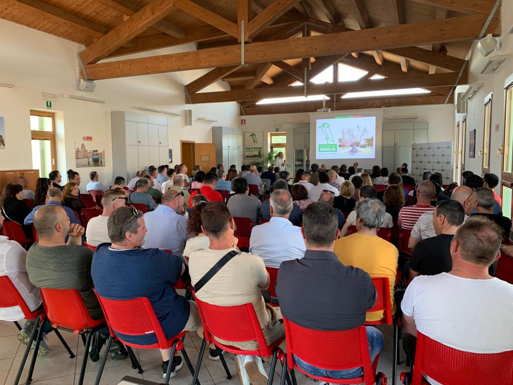 Assemblea dei soci di Brodolini: oltre 900 lavoratori e 6 milioni di euro di investimenti per guardare al futuro