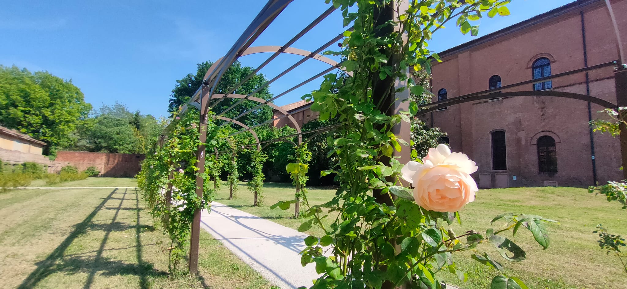 Apre il nuovo giardino rinascimentale di Schifanoia, con 40.000 euro di sponsorizzazione di Copma