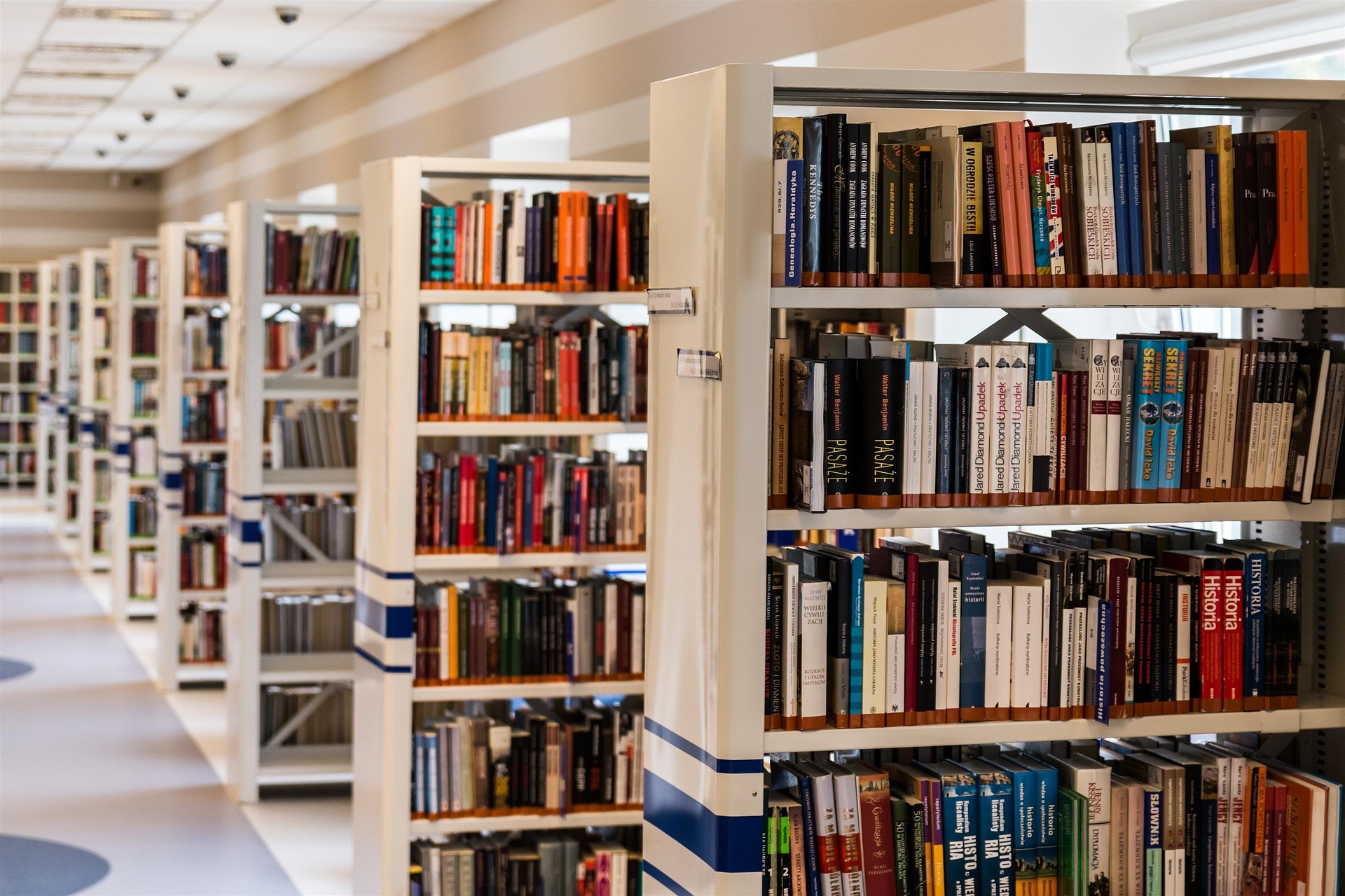 Biblioteche: alla cooperativa sociale Le Pagine la gestione dei servizi bibliotecari e archivistici del Comune di Ferrara